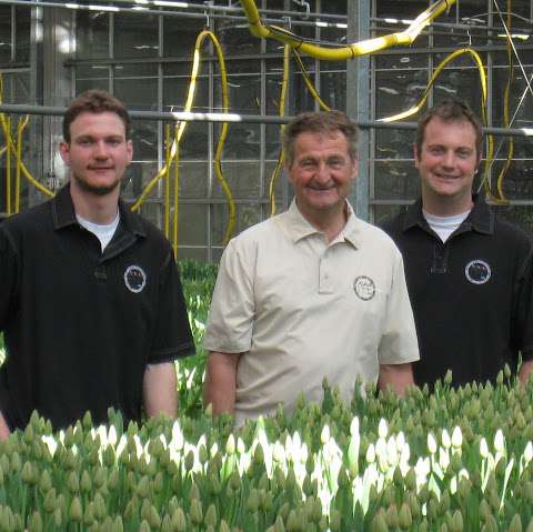 Pioneer Flower Farms Limited Pioneer Flower Farms Limited